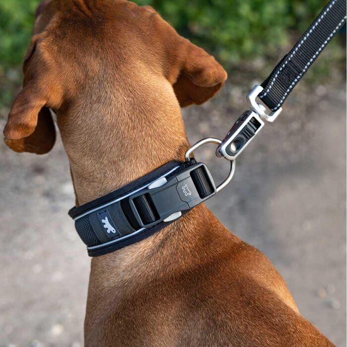 Нашийник для собак Ferplast Genius C25/55, світловідбиваючий, дихаючий, регульований, з магнітною застібкою та швидким роз'ємом, для великих порід, з м'якою підкладкою, чорний. Розмір шиї 45-55 см.