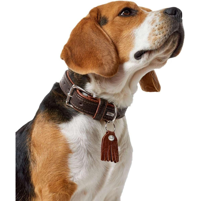 Нашийник для собак, шкіра, рустикальний стиль, м'який, 45 (S), темно-коричневий/коньячний 45 темно-коричневий