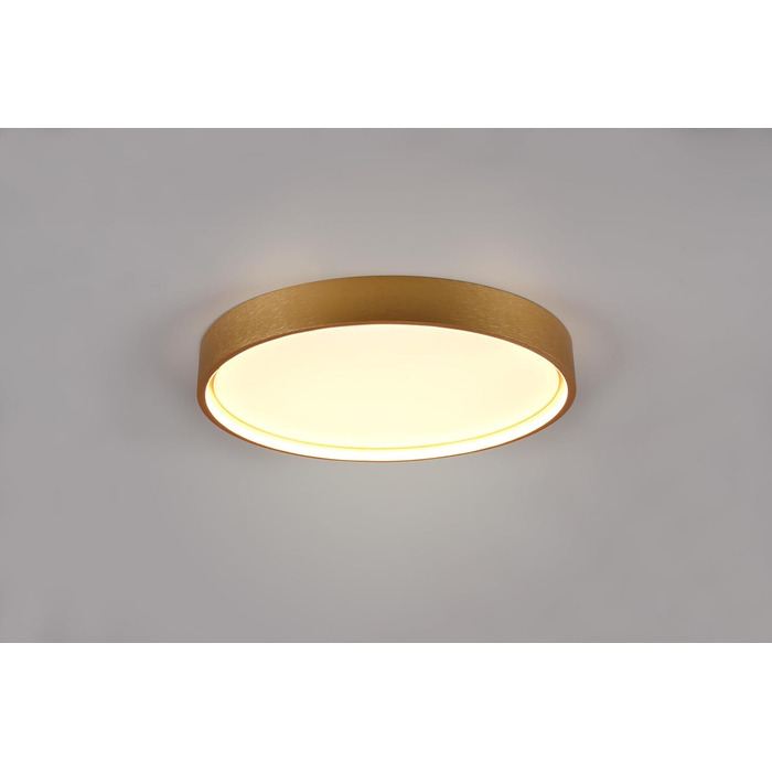 Стельовий LED-світильник Trio Leuchten Doha 641310208, матова латунь, акрил, LED 29 Вт