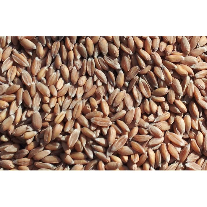 Подушка для шиї та шийного відділу хребта - шия плечі спина - коричнево-біла - подушка з органічної спельти - подушка для шиї з підігрівом - подушка з органічного зерна спельти для шиї та плечей