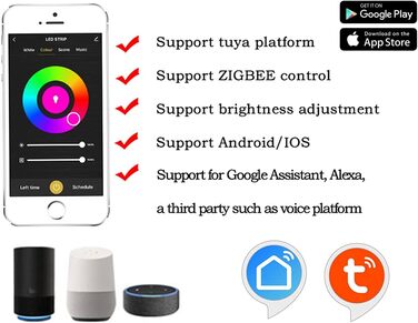 Міні-контролер ZigBee, низьковольтний, 12 В, 24 В, для світлодіодних стрічок, Tuya і HUE, сумісний з Alexa і Google Home (1 канал)