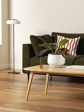 Керамічні квіткові горщики LE TAUCI з блюдцями, набір маленьких квіткових горщиків діаметром 101316 см, набір з 3 горщиків для кімнатних рослин, горщики з дренажним отвором, білі