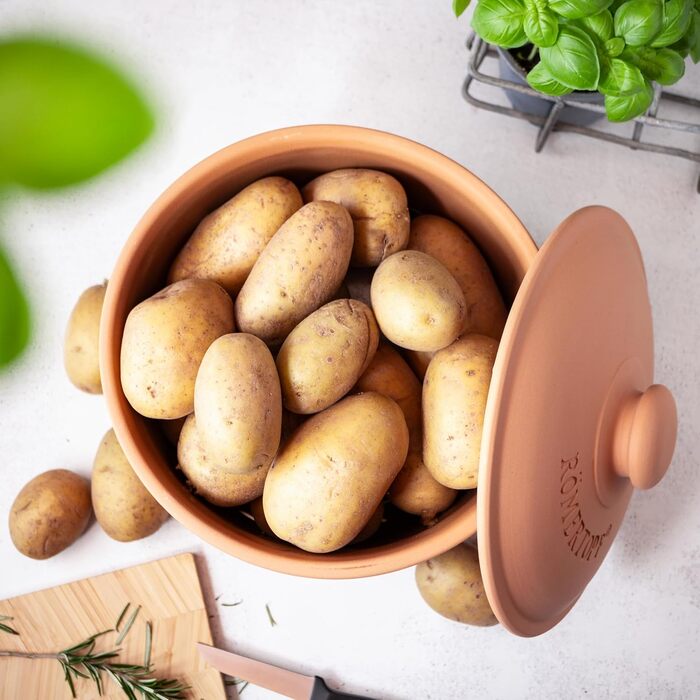 Картопляний горщик Rmertopf MAXI PLUS з натуральної глини, теракотовий, Ø 26 см, об&39ємом 5,5 л для зберігання приблизно 3 кг картоплі та овочів, вентильований з 3 вентиляційними отворами, глазурований дно, можна мити в посудомийній машині