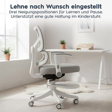 Ергономічний дитячий стілець - для дітей та підлітків зростом до 175 см - Регульована висота - З підставкою для ніг - Регульована спинка - Коліщатка з механізмом блокування - Сірий Junior 5.3 Grey, 5.3 -
