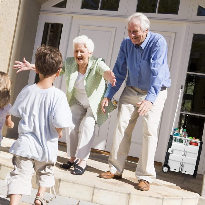 Складний візок для покупок Relaxdays з телескопічною ручкою, колесами, вантажопідйомність до 35 кг, об'єм 50 літрів, чорно-сірий