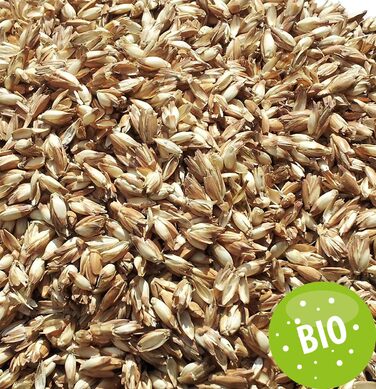 Подушка GIRAFFENLAND з органічного лушпиння спельти 40x80 см, стьобана біла, подушка з органічним лушпинням спельти в додатковому органічному внутрішньому чохлі