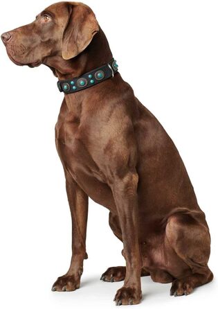 Нашийник для собак, шкіряний, в індіанському стилі, з кристалами, 55 (M), чорний чорний 55 (M)