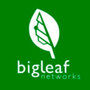 BigLeaf