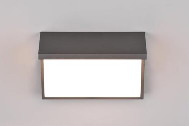 Стічний LED-світильник Trio Leuchten Nestos 240969142, алюміній (антрацит), білий пластиковий плафон, 13 Вт, з датчиком руху