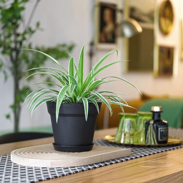 Пластиковий квітковий горщик з блюдцем, набір з 6 пластикових горщиків для трав з декількома дренажними отворами, кругла кашпо для