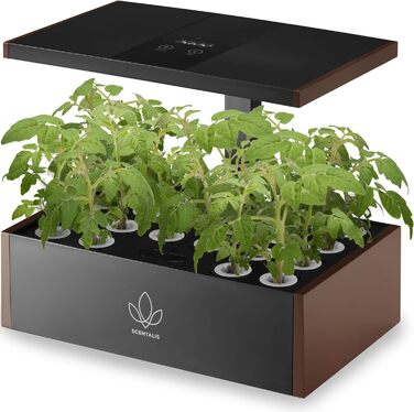 Гідропонна система вирощування Scentalis із повним спектром рослинної лампи - вкладиш від 12 до 20 стручків - Кімната гідропонна теплиця та трав&39яний сад - Для рослин, овочів і фруктів - Розумна гідропонна система