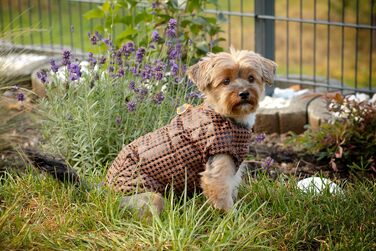 Водонепроникне пальто/дощовик/зимове пальто Selente Paw Parade для собак малих та середніх розмірів з флісовою підкладкою (вироблено в ЄС), малинове, розмір 3