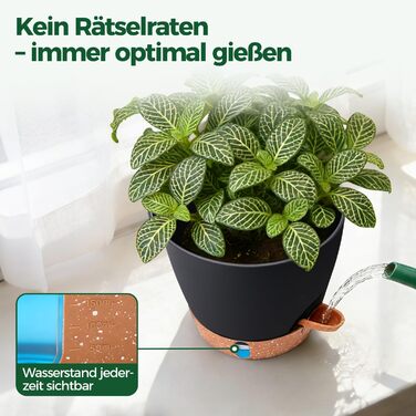 Набір з 2 предметів T4U, самополивний квітковий горщик 20 см з глибоким резервуаром для води, для зелених рослин, великий квітковий горщик для приміщень та вулиці, також підходить як велике кашпо для вулиці, чорний, 20 см