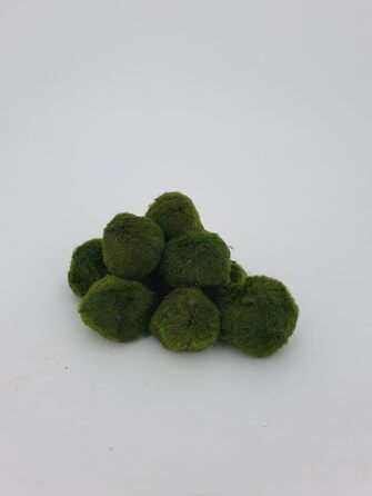 Великі кульки з моху 3 шт. и приблизно 6-7 см 1 нано кулька з моху 1-2 см