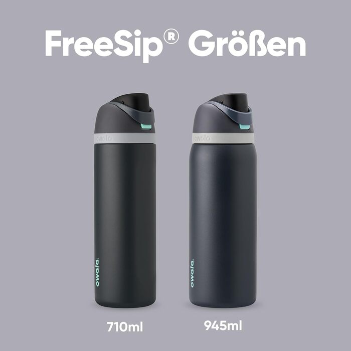 Ізольована пляшка для води Owala FreeSip з нержавіючої сталі, 945 мл, Foggy Tide