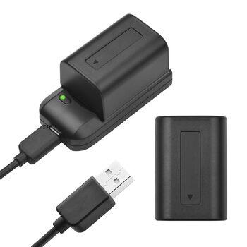 Зарядний пристрій Andoer NP-FV5 зі світлодіодним індикатором 2 акумулятори NP-FV5 Plus 3,7 В 1000 мАг з USB-кабелем для заряджання