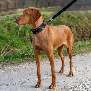 Нашийник для собак Ferplast Genius C25/55, світловідбиваючий, дихаючий, регульований, з магнітною застібкою та швидким роз'ємом, для великих порід, з м'якою підкладкою, чорний. Розмір шиї 45-55 см.