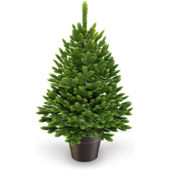 Штучна ялинка у горщику 40 см ArtiTree