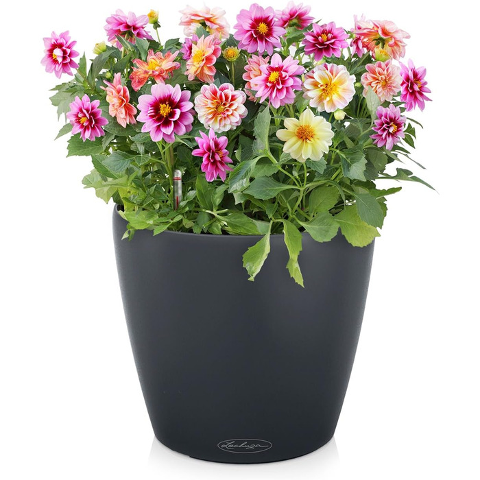 Колір 21 сланець сірий 13184, 22x22x20 см 22x22x20 см сланець сірий