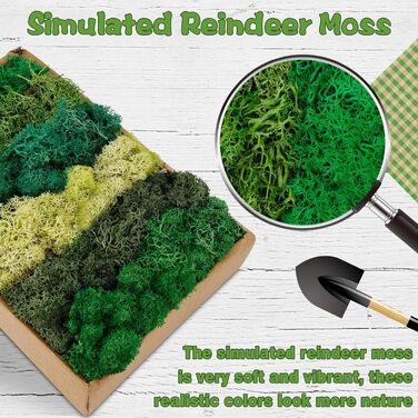 Ісландський мох, консервований мох, декоративний мох для рукоділля, картина з моху, виготовлення моделей, художній мох, натуральний консервований мох у 6 кольорах (240 г), натуральне багаторазове листя моху для декору, виготовлення моделей, прикраса для д