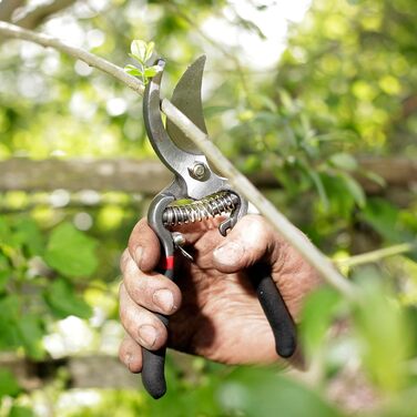 Набір садових ножиць Spear & Jackson CUTTINGSET8 Традиційний набір садових ножиць з ковадлом Вінтажний набір садових ножиць з ковадлом