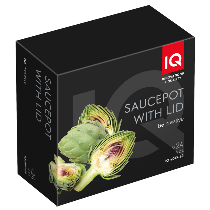 Каструля 24 см 4,2 л Be Creative IQ