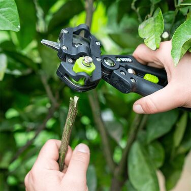 Секатор для щеплення