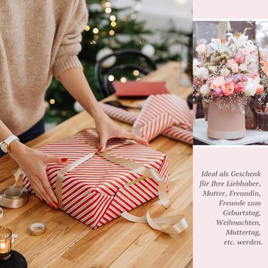 Стартовий набір VANREESA з лампою (16 кольорів)