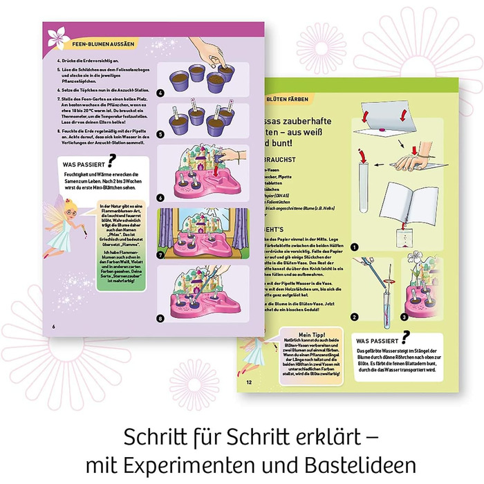 Набір для експериментів Fairy Garden KOSMOS, казковий сад