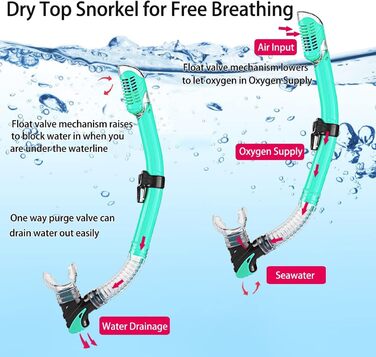 Комплект для дорослого підводного плавання з ластами, маскою для дайвінгу, трубкою сухого типу та сумкою для перенесення, колір аквамариновий, розмір S/M (36-41)
