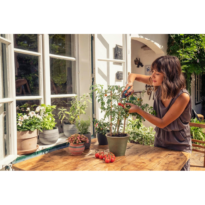 Секатор для точного збору трав, ягід та квітів з нержавіючої сталі, лезо 47 мм, ергономічна ручка, з захисним ковпачком (12212-20). Універсальний, 15.91 см x 1.95 см, ширина захвату 47 мм