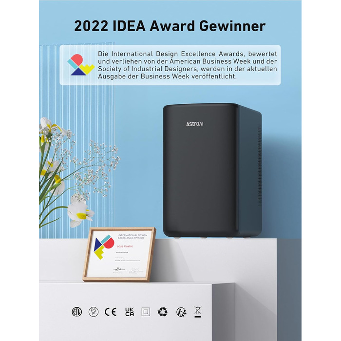 Міні-холодильник AstroAI 2 в 1, 6-літровий холодильник / 8 банок з функцією охолодження та підігріву, розетка 12В / 220В для автом