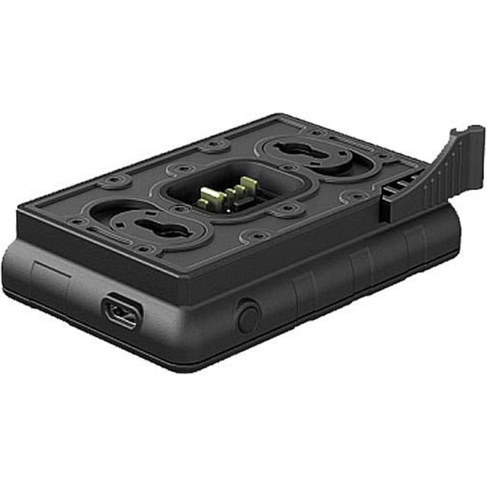 Зарядний пристрій Pulsar IPS