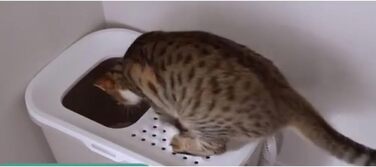 Котячий лоток &39Hop In&39, сірий антрацит / білий, 58,5 x 39 x 39,5 см