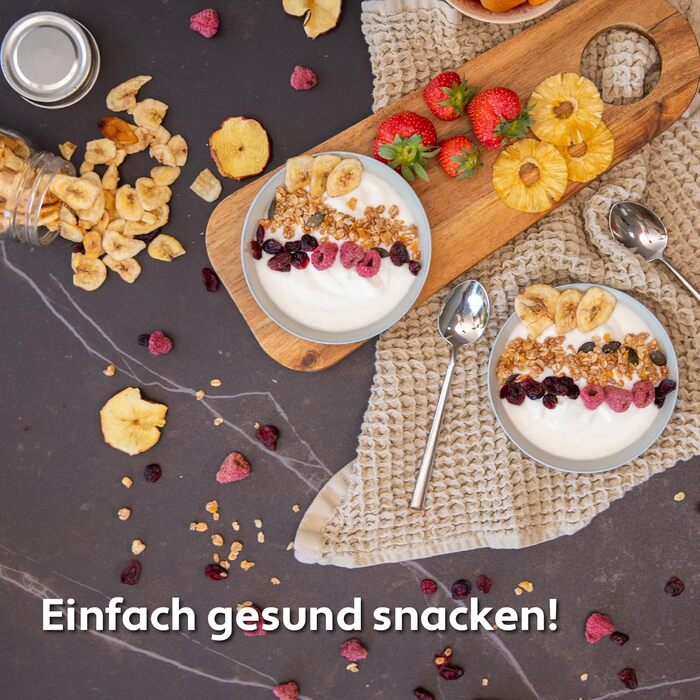 Дегідратор Vita5 з 6 дегідраторами з нержавіючої сталі - Дегідратор 0,7 м Дегідратор з регулятором температури (35-75 C) - сушіння фруктів, овочів, м'яса - 650 Вт 24 години Таймер Світлодіодний дисплей - Дегідратор їжі 6 рівнів срібла