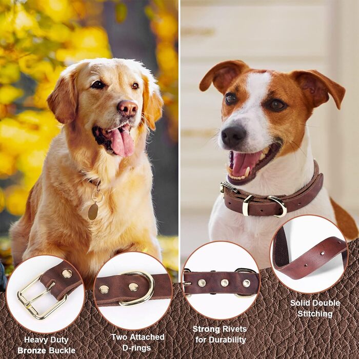 Комплект повідця та нашийника Зоряний Провідник, 1.8 м, м'яка плетенка зі шкіри, з регульованим нашийником для собак малих, середніх та великих порід (розмір М)