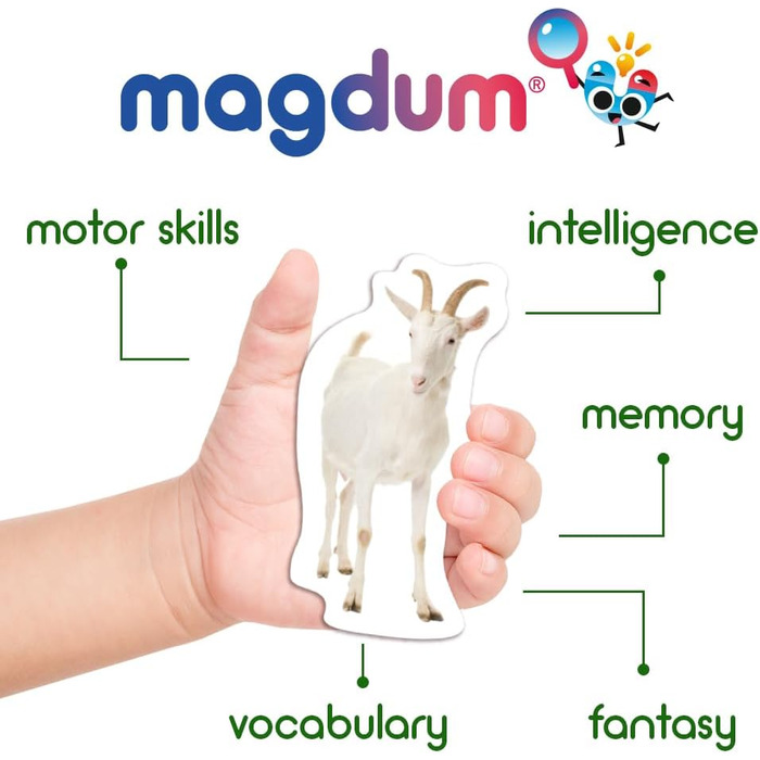 Магніти для дітей на магнітну дошку - Іграшки-магніти для дітей - Магніти на холодильник для дітей - Набір магнітів на холодильник