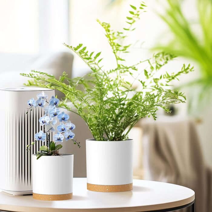 Набір з 5 квіткових горщиків з блюдцями, 17,8/15,2/14/12,7/10,2 см, пластикові кашпо, гідропонні горщики, набір квіткових горщиків, ідеально підходить для кімнатних та балконних садів, білий з коричневим підносом 765,554 дюймів (5 шт.) білий, коричневий п