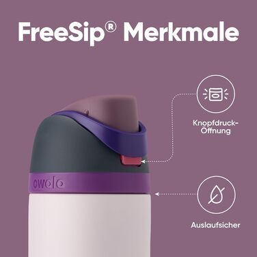 Ізольована пляшка для води Owala FreeSip з нержавіючої сталі, 710 мл, Dreamy Field