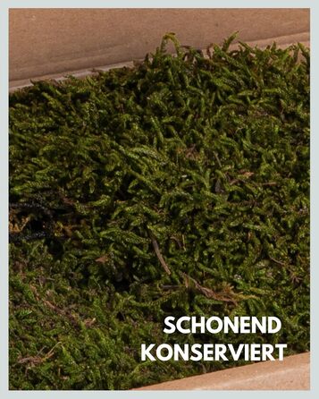 Пластинчастий мох довго зберігав природний зелений Декоративні стінові мохові панелі довговічні Картина з моху своїми руками зроби сам Килимок із натурального зеленого моху, 300 г, Living in Green