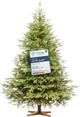 Штучна ялинка 180 см FairyTrees