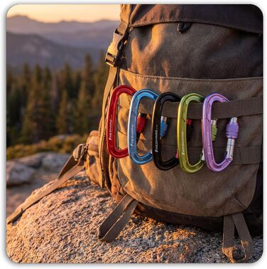 Карабін FresKaro 25kN, чорний, гвинтовий затвор, сертифікований CE карабін для спуску на мотузці, повідці для собак, великий, надзвичайно міцний 2550 кг, легкий, стійкий до іржі, міцний, матеріал авіаційний алюміній 7075, чорний - 2 шт.