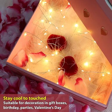 Світлодіодна батарея казкових вогнів, 2M 20LEDs теплі білі міні казкові вогні мідний дріт робота від батареї теплий білий 12 пакет