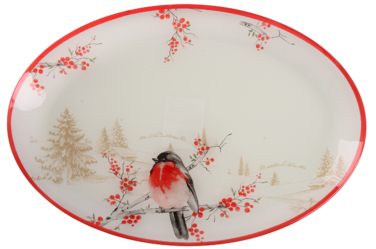 Блюдо Viva NY Winter Bird, 30х20 см (7109502)
