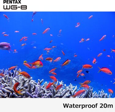 Чорна всепогодна пригодницька камера з чудовими водонепроникними, пило- та ударостійкими характеристиками, універсальним кільцевим освітленням для макрозйомки та функцією веб-камери, 8