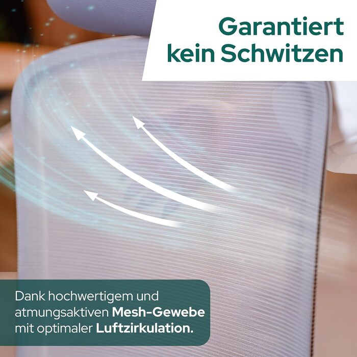 Ергономічне офісне крісло - Переможець тесту - Високо індивідуально регульоване офісне крісло з підголівником та поперековою опорою, 3D підлокітниками та дихаючою сіткою - Офісне крісло 150 кг (світло-сіре) з підголівником світло-сірий / сірий
