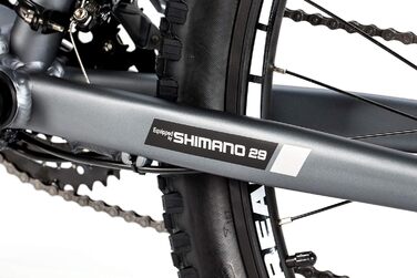 Електричний велосипед EMTB-29 SHIMANO 24 швидкості та гідравлічні дискові гальма Вбудований акумулятор іонно-літієвий 48V 13Ah L-XL