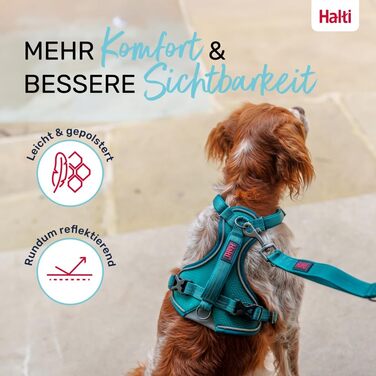 Шлейка для собак HALTI Anatomy з ручкою свобода рухів для вашого улюбленця. 3 точки кріплення для повідка, неопренова підкладка, регульована та світловідбиваюча (Розмір L, Блакитно-зелений) Блакитно-зелений L