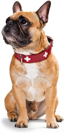 Нашийник для собак Hunter (Швейцарський дизайн), з органічної шкіри