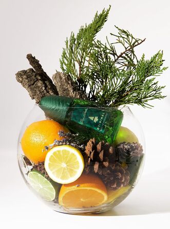 Чоловіча туалетна вода Pino Silvestre Original (125 мл)